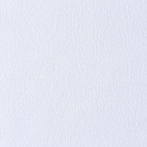 Канвас h-295 см 14-02-10206 белый однотонный